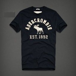 Camiseta Abercrombie & Fitch Masculina - ORIGINAL